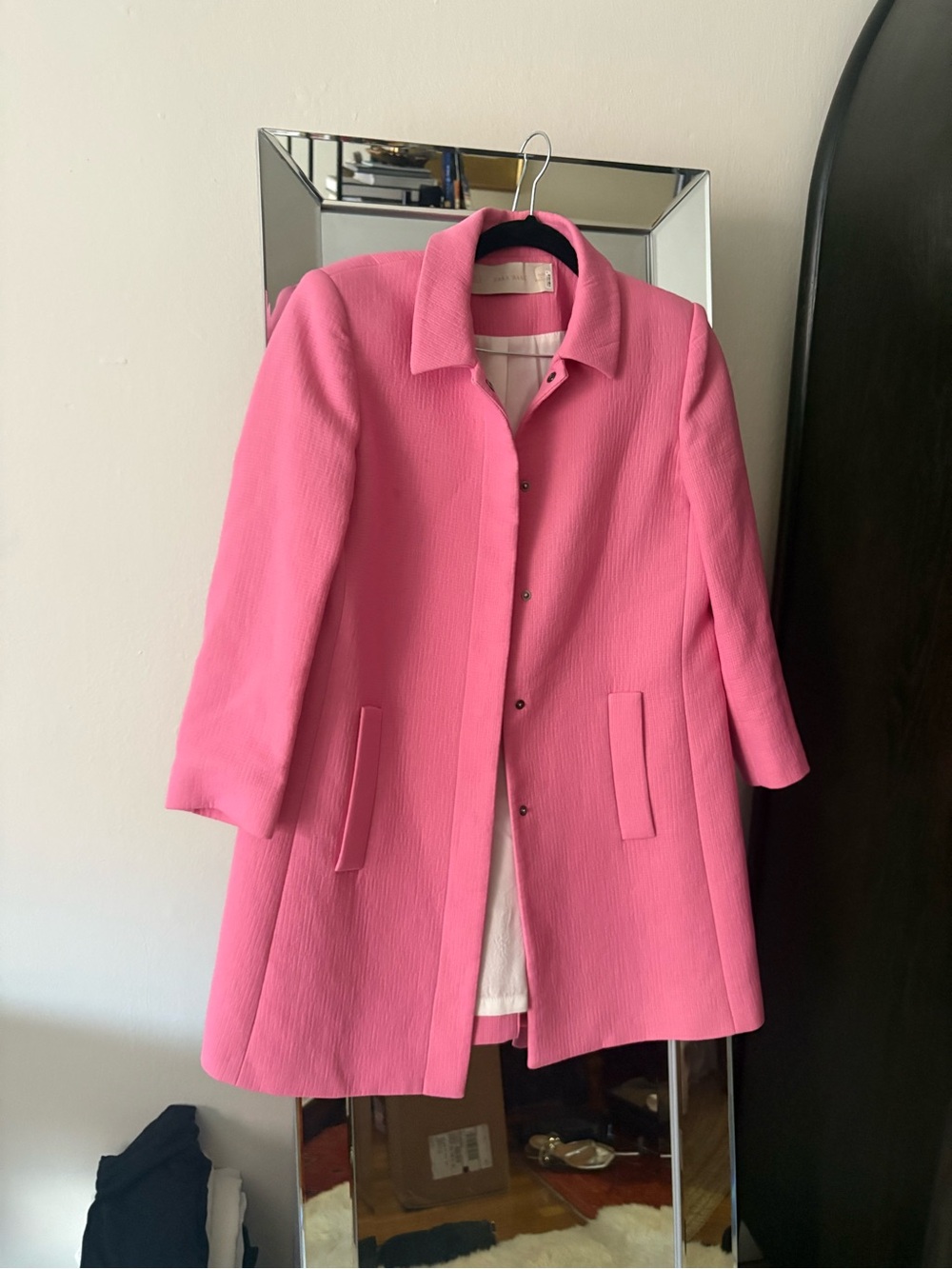 Zara Pink Collared Coat